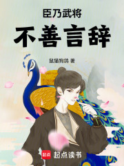 《大宋悍臣》全集下载 《大宋悍臣》全集下载