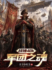 《战锤40k:军团之魂》全集下载 《战锤40k:军团之魂》全集下载