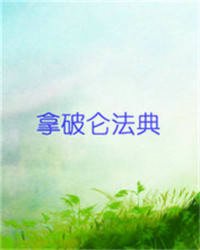 《拿破仑法典》全集下载