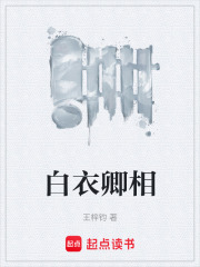 《白衣卿相》全集下载