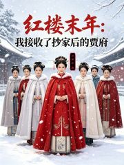 《红楼末年:我接收了抄家后的贾府》全集下载 《红楼末年:我接收了抄家后的贾府》全集下载
